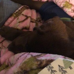 Meet your Posher, Amy